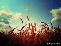 淮安浩之泽金属材料有限公司