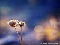 淮安浩之泽金属材料有限公司