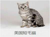 淮安浩之泽金属材料有限公司