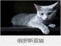 淮安浩之泽金属材料有限公司