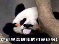 淮安浩之泽金属材料有限公司