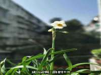 淮安浩之泽金属材料有限公司