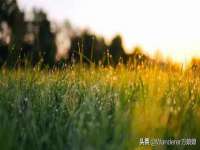 淮安浩之泽金属材料有限公司