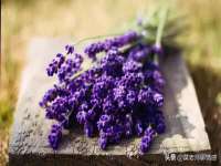 淮安浩之泽金属材料有限公司