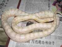 淮安浩之泽金属材料有限公司
